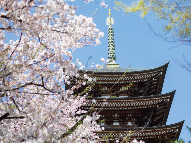 古くから憧れのエリアは今も健在。参道を中心に広がる閑静な町「覚王山」